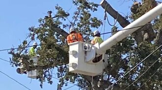 Arborists in air