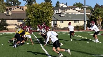 Bearcats to face the Greyhounds