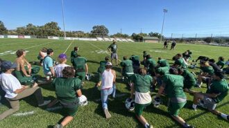 Coach Down Crow legs out copy