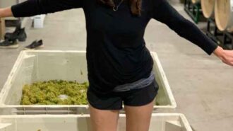 Alta Colina