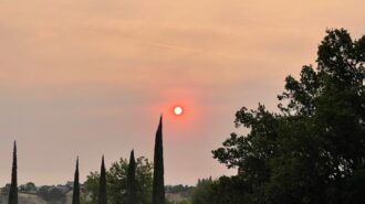 sun rises over paso robles
