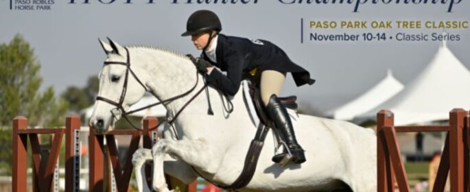horse jumping contest