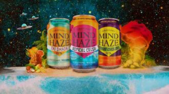 mind haze firestone walker