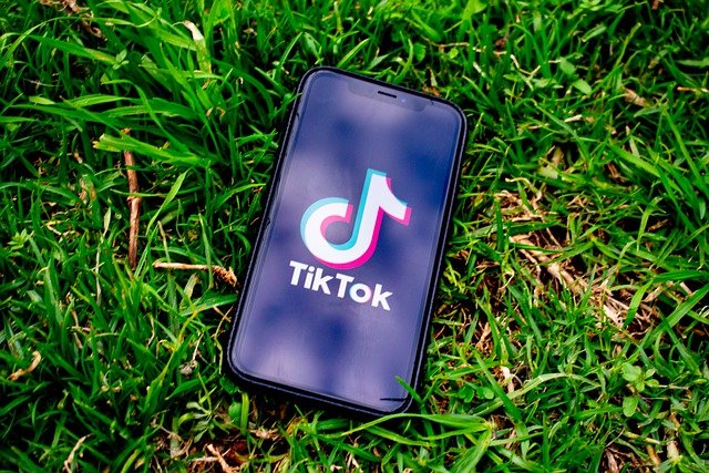tik tok trend devious licks