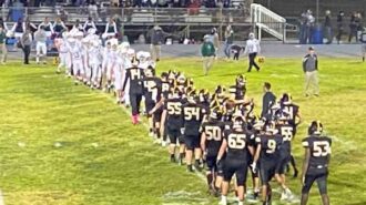 Eagles and Tigers after game