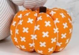 Harvest Pumpkin