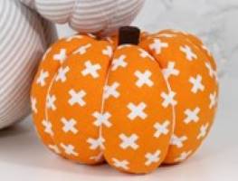 Harvest Pumpkin