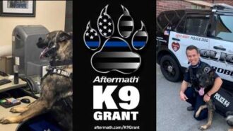 K9 renzo