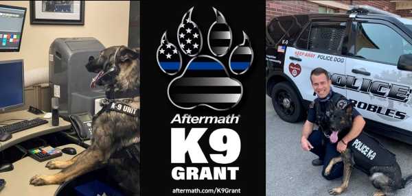 K9 renzo