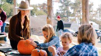 Pumpkin decorating