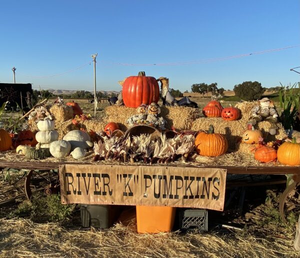 River K Pumpkins