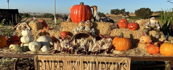 River K Pumpkins