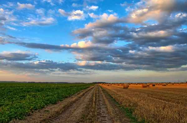 farming stock image