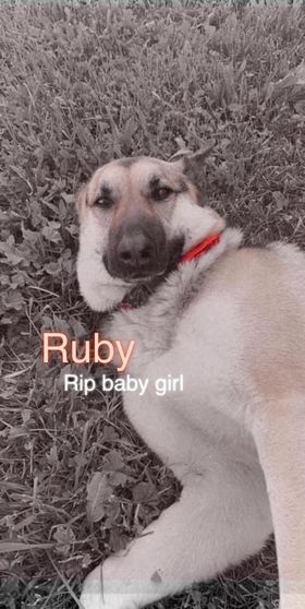ruby