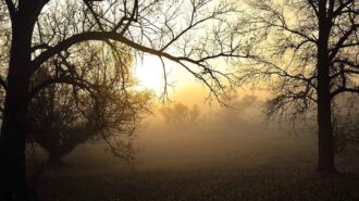 Cooler fall weather in the forecast this week