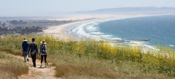 Pismo preserve