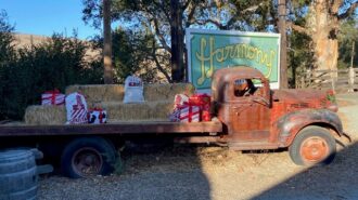 harmony christmas market 1