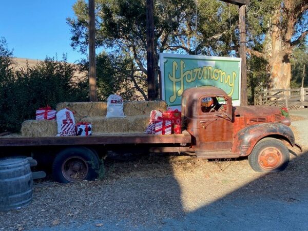 harmony christmas market 1