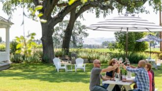 peachy canyon tasting lawn