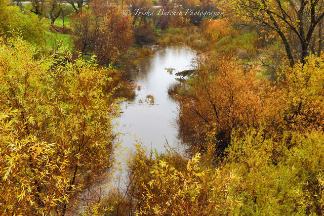 The Salinas River flowing near 13th Street on Tuesday.