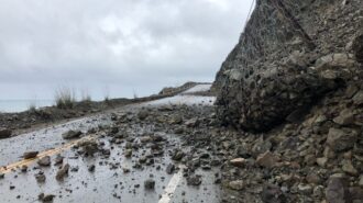 damaged netting at cow cliffs