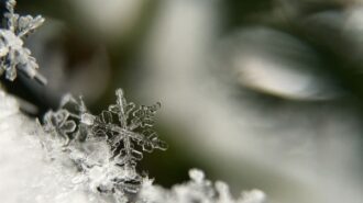frozen