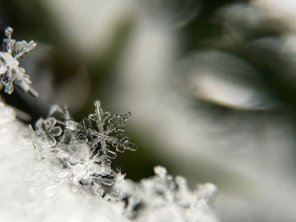 frozen