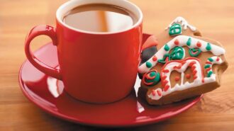holiday treat centennial park
