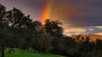 rainbow pic from trisha
