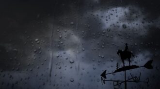 rainfall paso robles