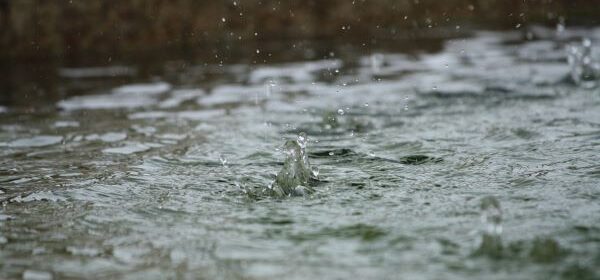 rainfall paso robles