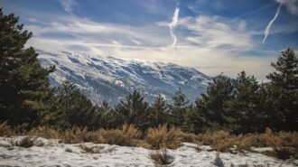 sierra nevada