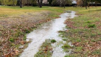 turtle creek recent storms