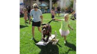 dog training paso robles
