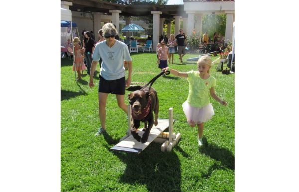 dog training paso robles