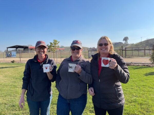 redwings fundraiser
