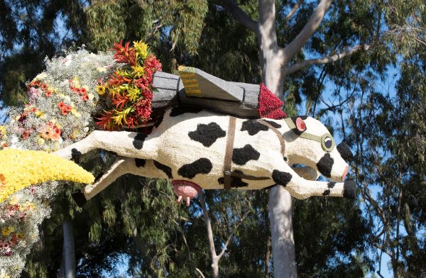rose parade 2