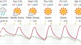 weather report