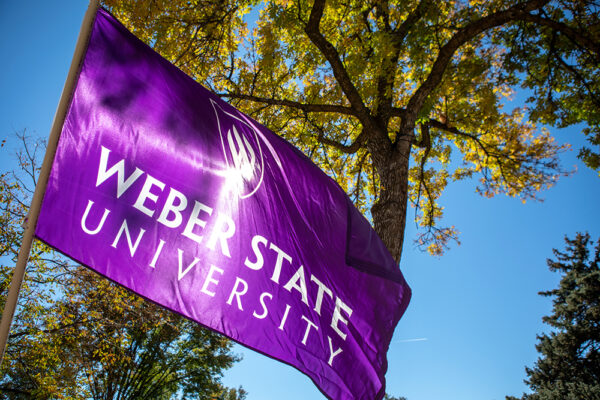 Purple Paw Parade