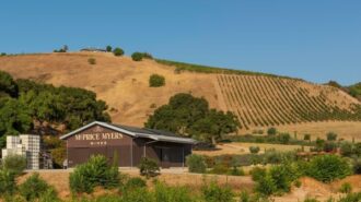 winery new
