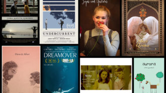 cambria film fest winners