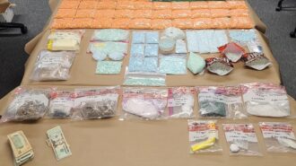 drug bust 2