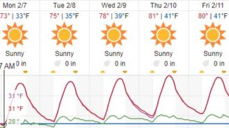 forecast