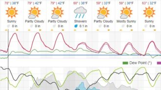 weather forecast