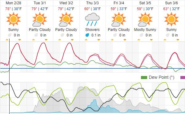 weather forecast