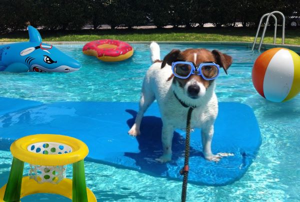 draining your pool