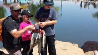 fishing derby