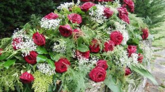 funeral flowers obituary