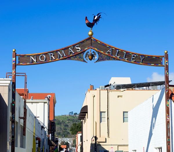 norma's alley 1