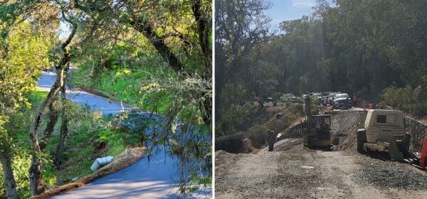 road to hearst castle